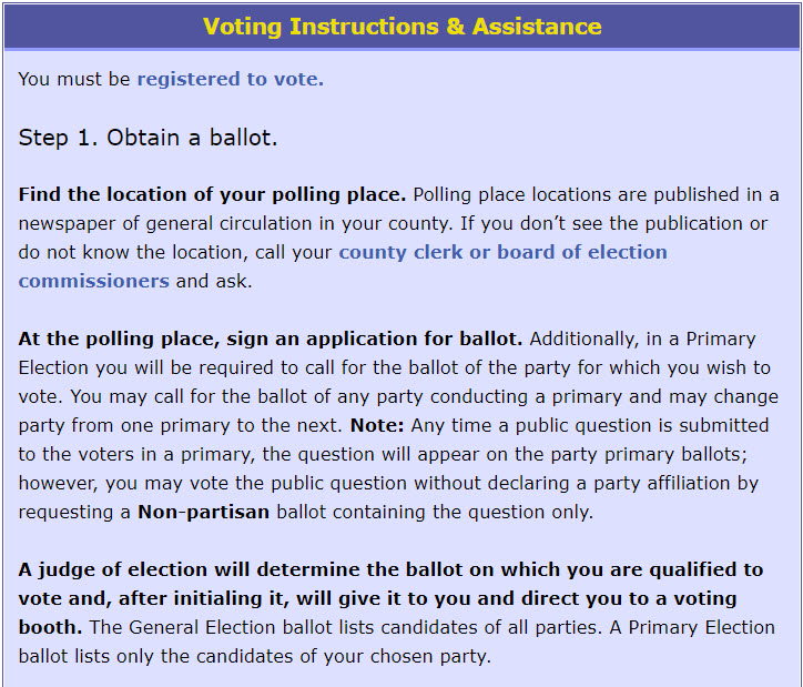 voting instructions and assistance